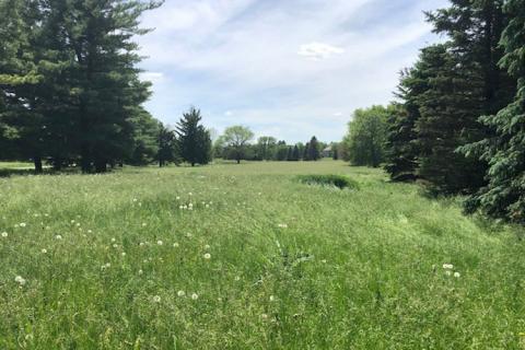 Pioneer Pointe Land for Sale in Middleton Wisconsin